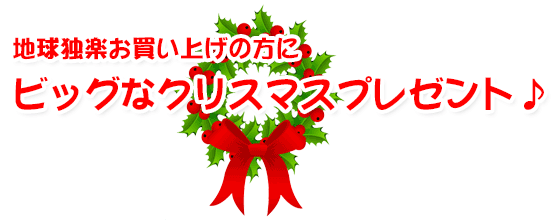 地球独楽お買い上げの方にビッグなクリスマスプレゼント♪